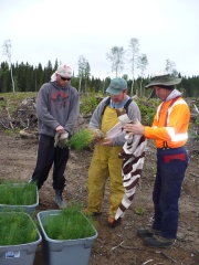 Mike Jull explains planting specifications to two of Senecas most experienced planters.