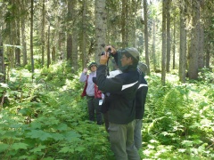 The group stops at an old growth forest site along the East Loop Trail.